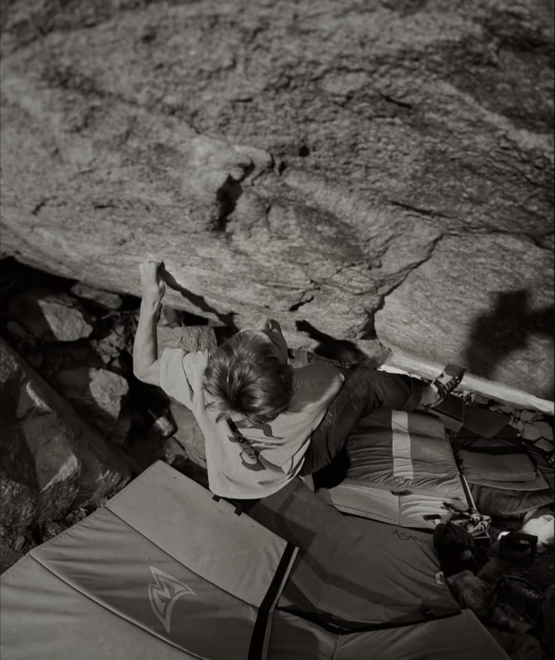 WHALEY E GERHARDT DA 8C+ NEGLI STATES